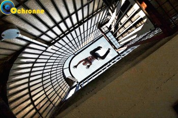 Siatki Kościan - Siatki na schody wykonane są z polipropylenu, który posiada dużo pozytywnych cech. dla terenów Kościana